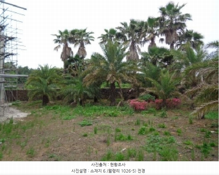 2025타경1357 제주특별자치도 제주시 한림읍 월령리 1026-5 농지 경매 이미지