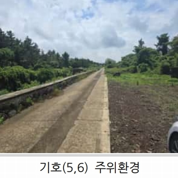 2025타경1357 제주특별자치도 제주시 한림읍 월령리 1026-5 농지 경매 이미지
