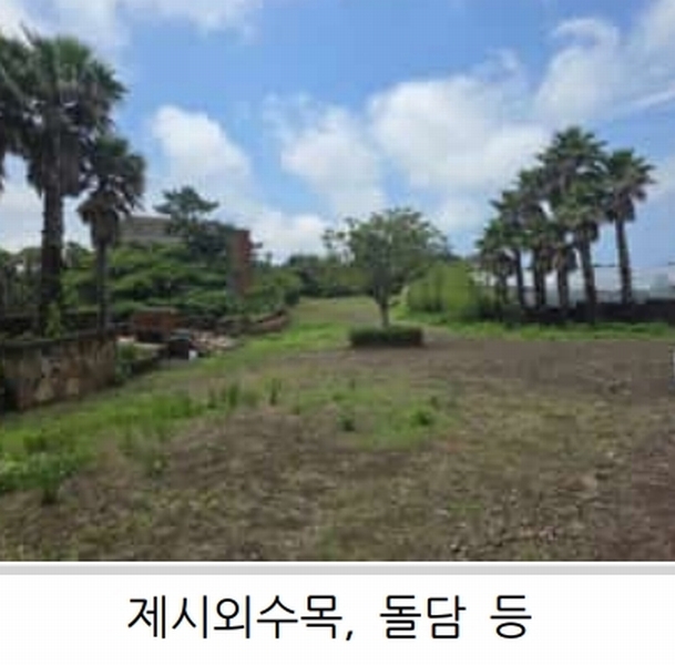 2025타경1357 제주특별자치도 제주시 한림읍 월령리 1026-5 농지 경매 이미지