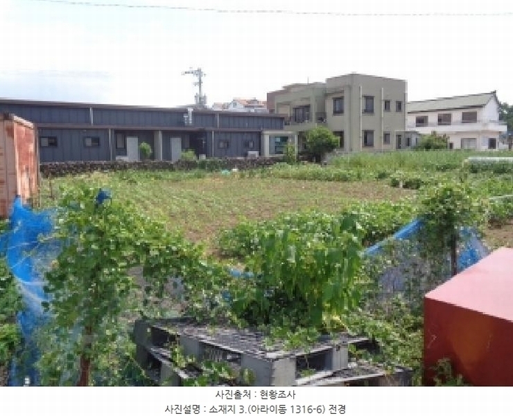 2025타경1548 제주특별자치도 제주시 아라이동 1316-5 과수원 경매 이미지