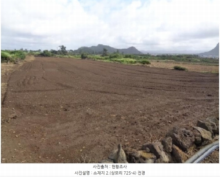 2025타경1578 제주특별자치도 서귀포시 대정읍 상모리 725-4 농지 경매 이미지