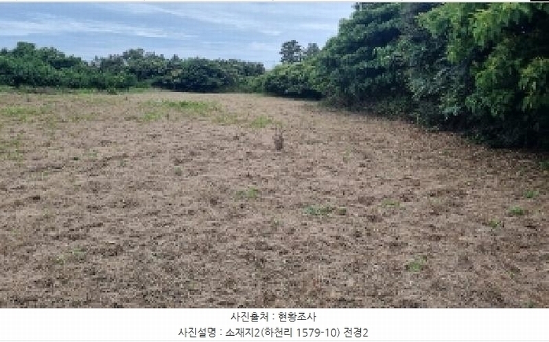 2025타경8109 제주특별자치도 서귀포시 표선면 하천리 1579-10 농지 경매 이미지