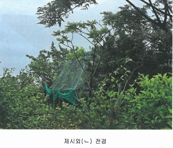 2025타경1311 제주특별자치도 제주시 조천읍 와흘리 1801-3 농지 경매 이미지