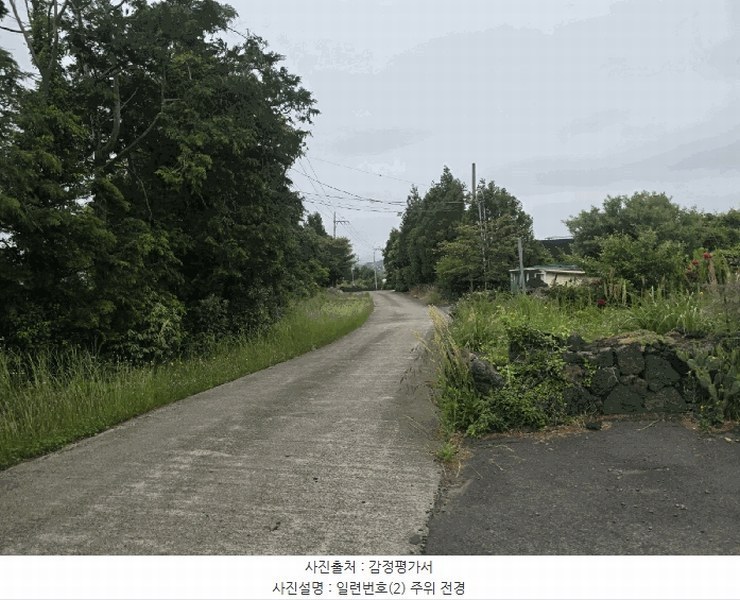 2025타경1311 제주특별자치도 제주시 조천읍 와흘리 1801-3 농지 경매 이미지