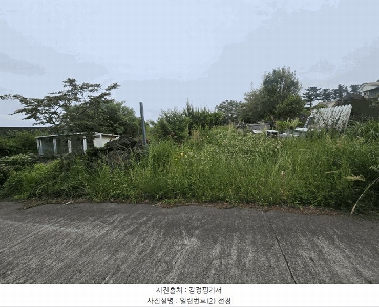 2025타경1311 제주특별자치도 제주시 조천읍 와흘리 1801-3 농지 경매 이미지