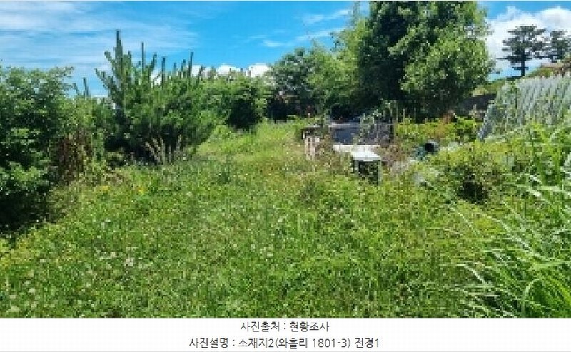 2025타경1311 제주특별자치도 제주시 조천읍 와흘리 1801-3 농지 경매 이미지
