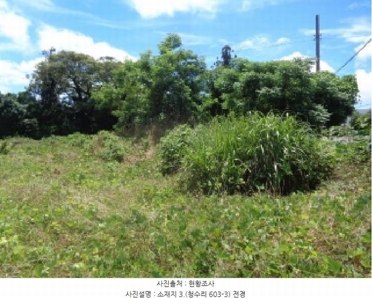 2025타경8289 제주특별자치도 제주시 한경면 청수리 603-3 임야 경매 이미지