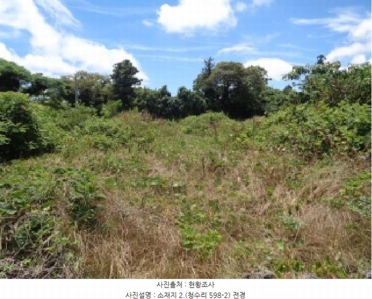 2025타경8289 제주특별자치도 제주시 한경면 청수리 598-2 농지 경매 이미지