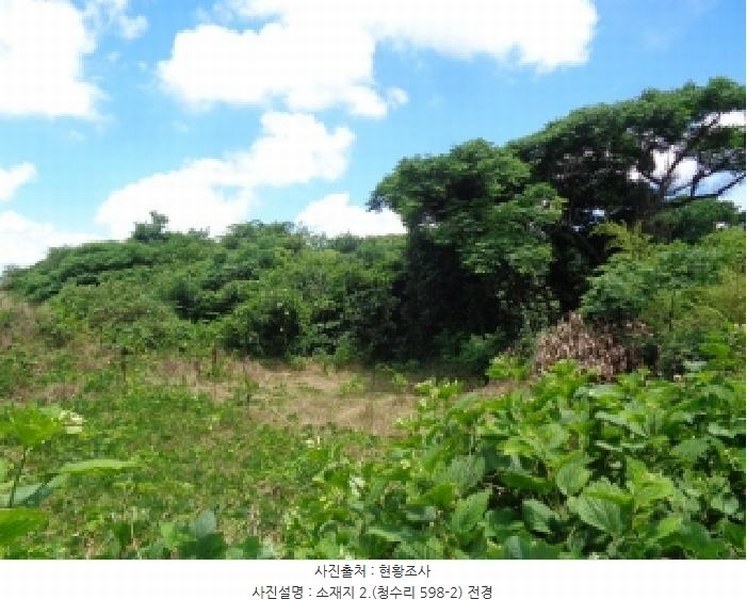 2025타경8289 제주특별자치도 제주시 한경면 청수리 598-2 농지 경매 이미지