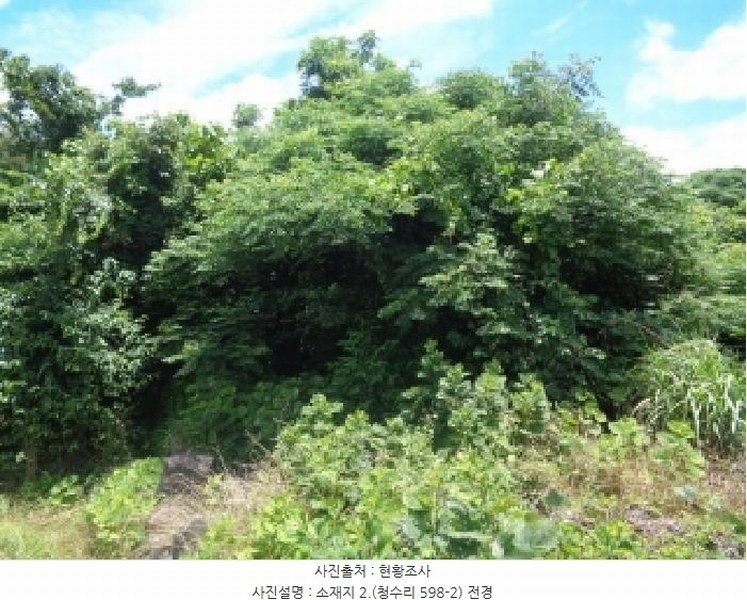 2025타경8289 제주특별자치도 제주시 한경면 청수리 598-2 농지 경매 이미지