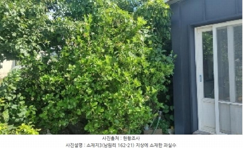 2025타경8299 제주특별자치도 서귀포시 남원읍 남원리 162-21 근린시설 경매 이미지