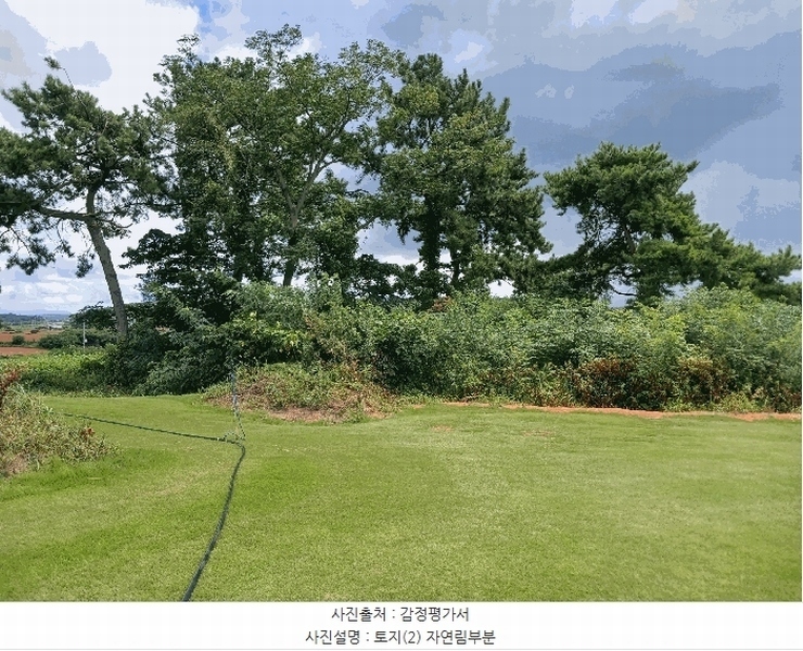 2025타경466 전라남도 무안군 일로읍 용산리 산32-2 임야 경매 이미지