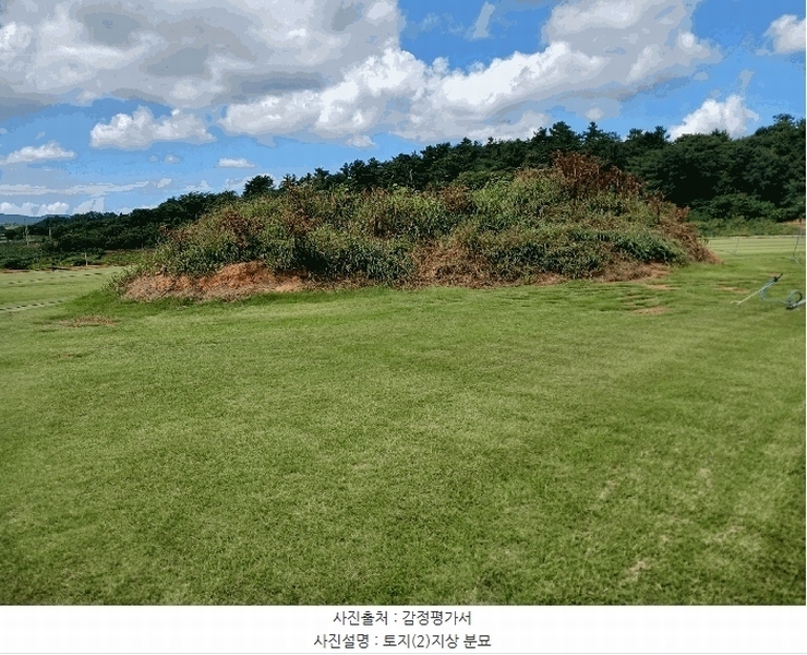 2025타경466 전라남도 무안군 일로읍 용산리 산32-2 임야 경매 이미지