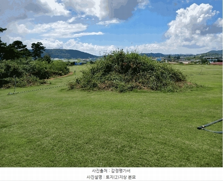 2025타경466 전라남도 무안군 일로읍 용산리 산32-2 임야 경매 이미지