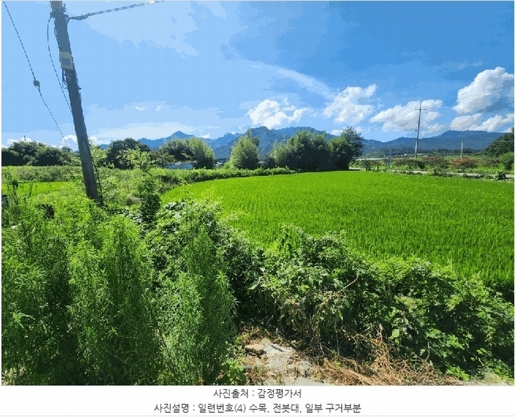 2025타경51338 전라남도 영암군 군서면 마산리 319 농지 경매 이미지