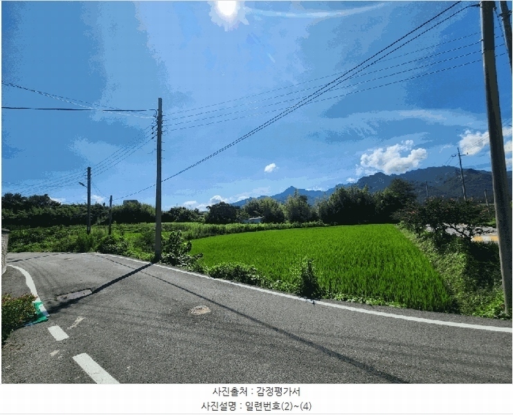 2025타경51338 전라남도 영암군 군서면 마산리 319 농지 경매 이미지