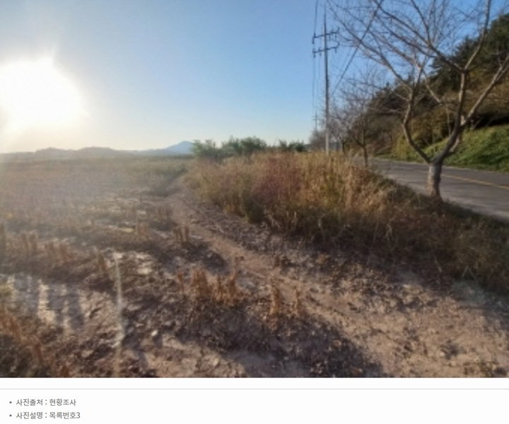 2023타경37003 경상남도 진주시 사봉면 사곡리 1246-2 농지 경매 이미지