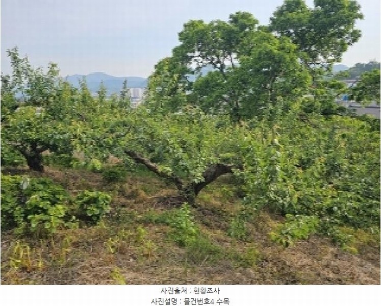 2025타경615 경상남도 하동군 하동읍 읍내리 97 농지 경매 이미지