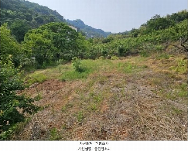 2025타경615 경상남도 하동군 하동읍 읍내리 97 농지 경매 이미지