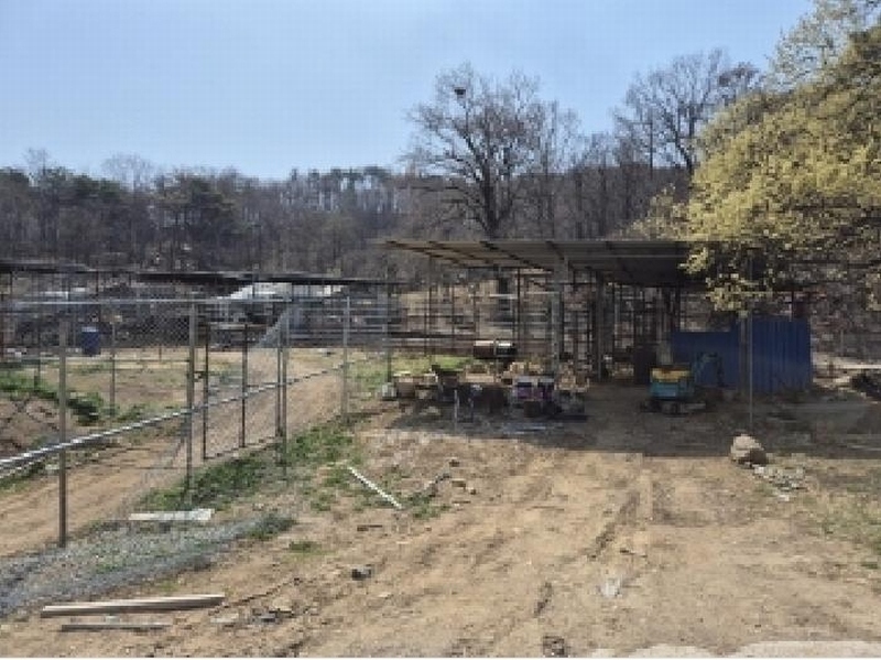2025타경285 경상북도 포항시 북구 신광면 안덕리 935 농지 경매 이미지
