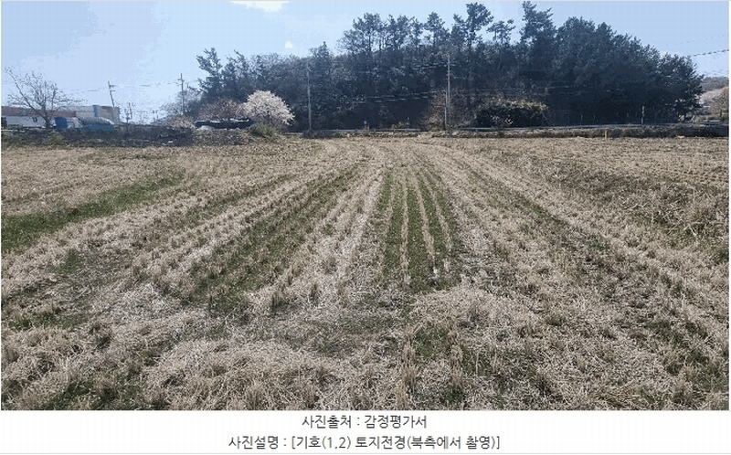 2025타경316 경상북도 포항시 북구 흥해읍 칠포리 445-3 농지 경매 이미지