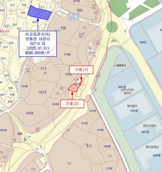 2025타경502876 세종특별자치시 연동면 내판리 669-4 대지 경매 이미지