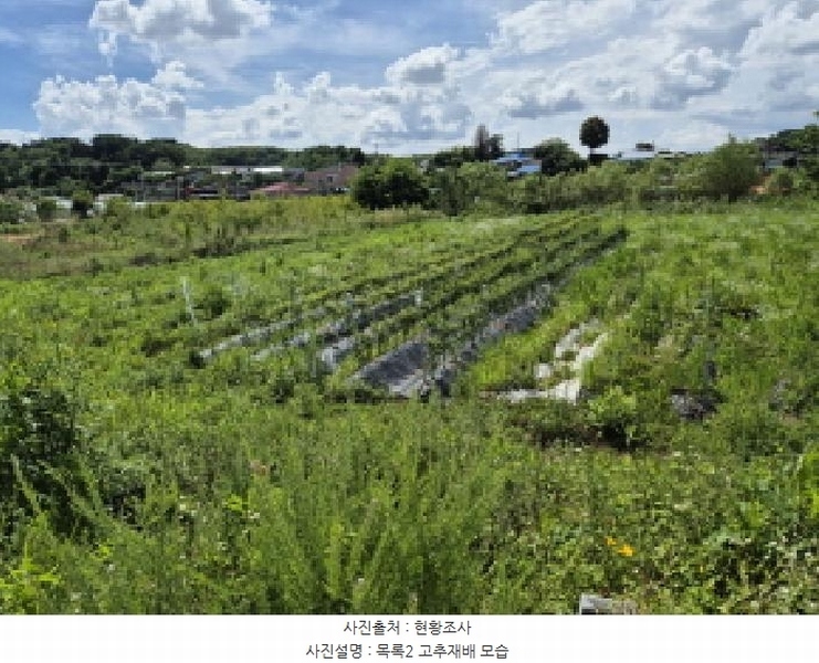 2025타경502876 세종특별자치시 연동면 내판리 669-4 대지 경매 이미지