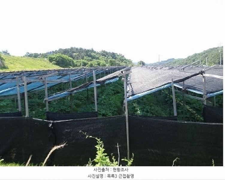 2025타경20660 강원특별자치도 횡성군 우천면 오원리 977-3 농지 경매 이미지
