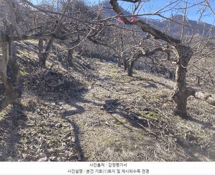 2025타경381 경상남도 함안군 칠북면 봉촌리 780 농지 경매 이미지