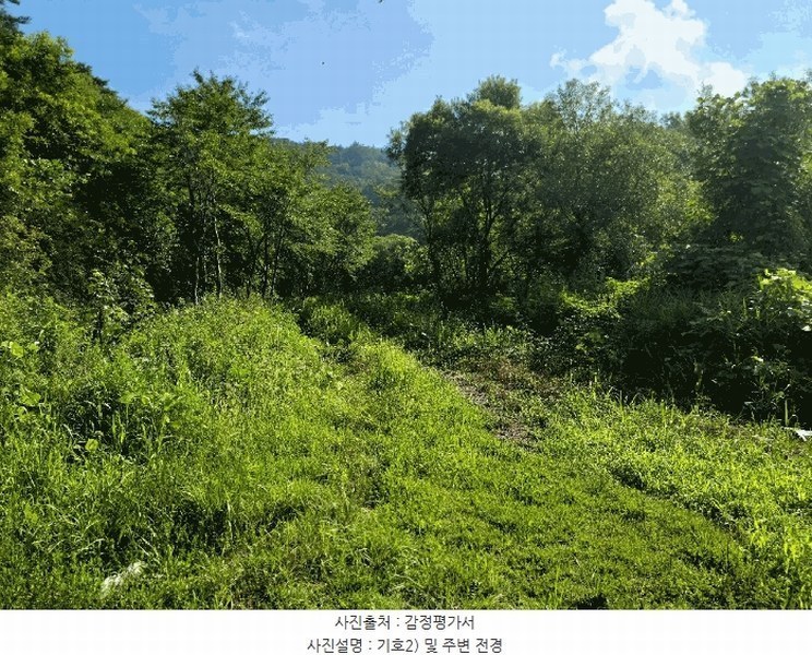 2025타경33255 전라남도 화순군 백아면 옥리 31-1 농지 경매 이미지
