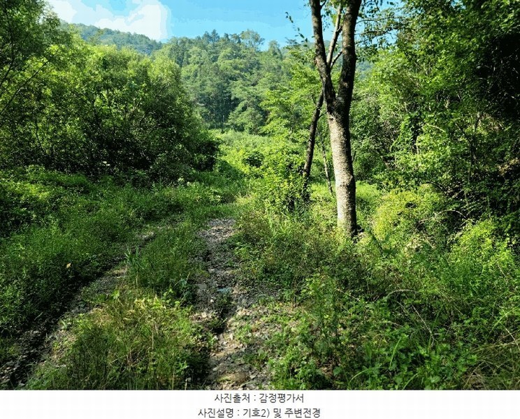 2025타경33255 전라남도 화순군 백아면 옥리 31-1 농지 경매 이미지