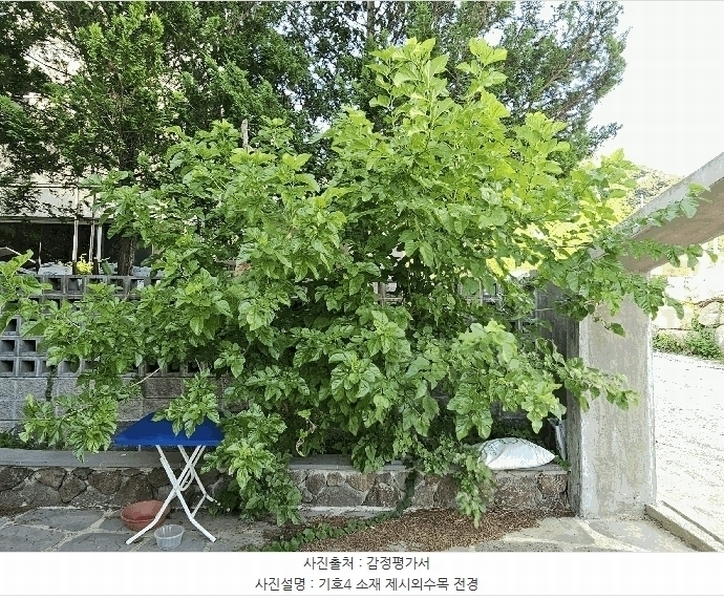 2025타경33110 전라남도 화순군 화순읍 앵남리 79-2 농지 경매 이미지