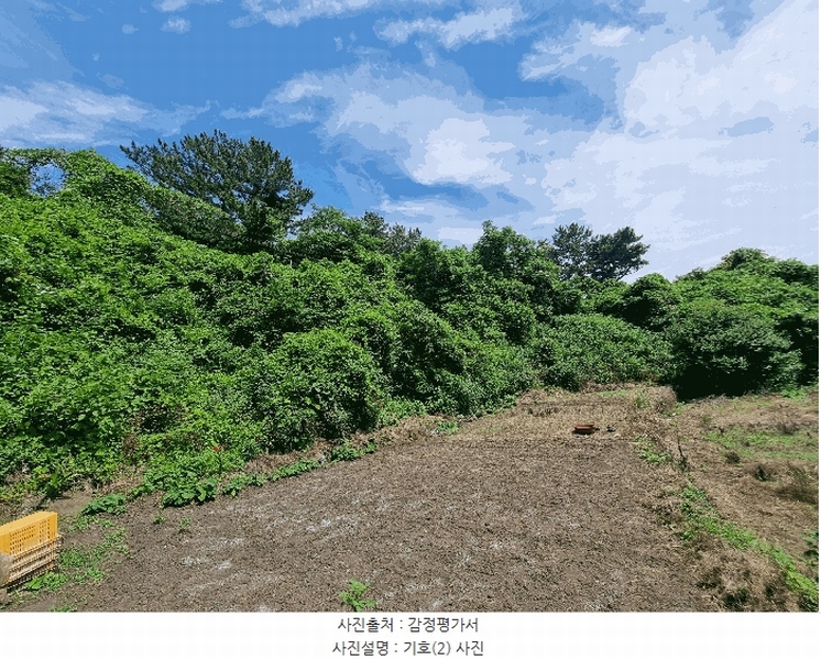 2025타경1380 제주특별자치도 서귀포시 서호동 101-2 임야 경매 이미지