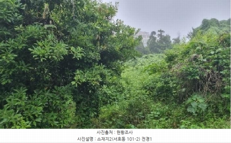 2025타경1380 제주특별자치도 서귀포시 서호동 101-2 임야 경매 이미지