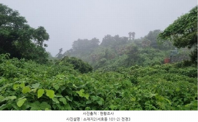 2025타경1380 제주특별자치도 서귀포시 서호동 101-2 임야 경매 이미지