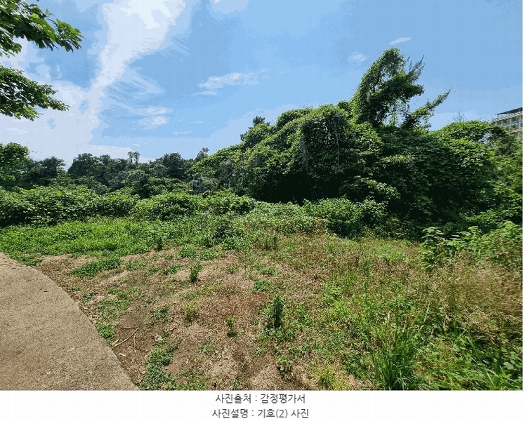 2025타경1380 제주특별자치도 서귀포시 서호동 101-2 임야 경매 이미지
