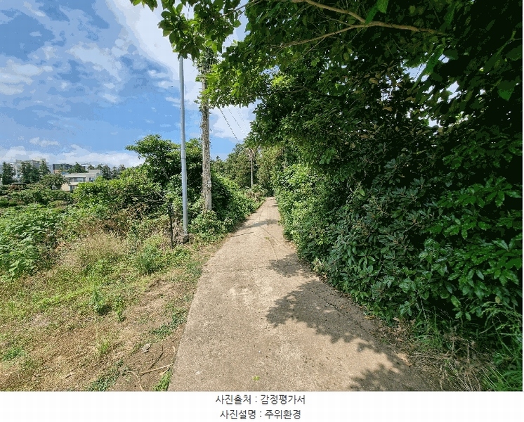 2025타경1380 제주특별자치도 서귀포시 서호동 101-2 임야 경매 이미지