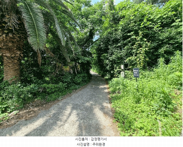 2025타경1380 제주특별자치도 서귀포시 서호동 101-2 임야 경매 이미지