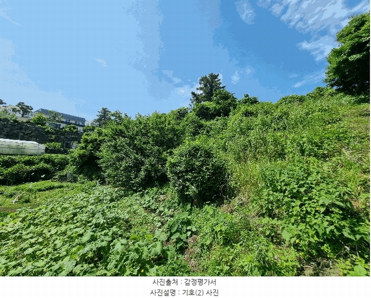 2025타경1380 제주특별자치도 서귀포시 서호동 101-2 임야 경매 이미지