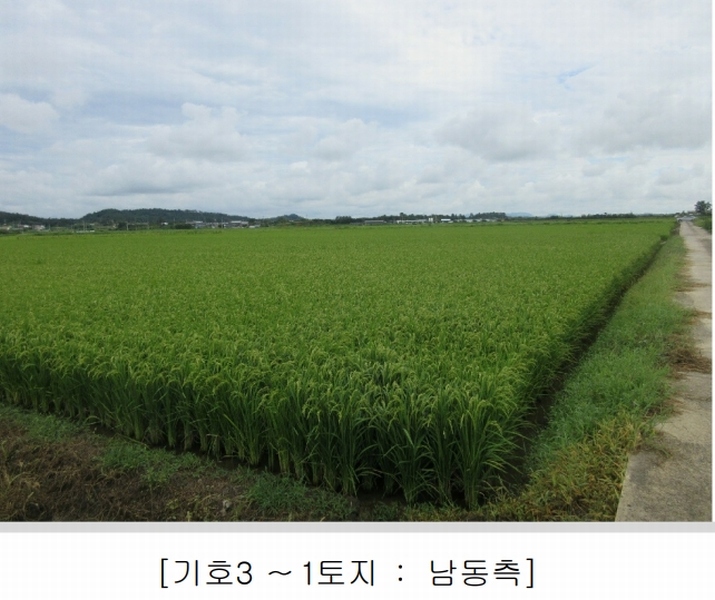 2025타경5368 전라남도 나주시 동강면 장동리 1446-3 농지 경매 이미지