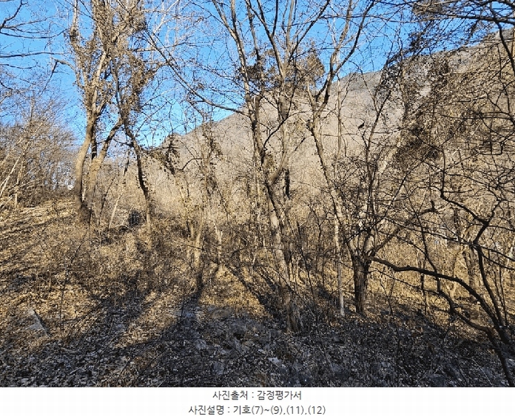 2025타경52543 전라남도 구례군 문척면 중산리 462-1 농지 경매 이미지