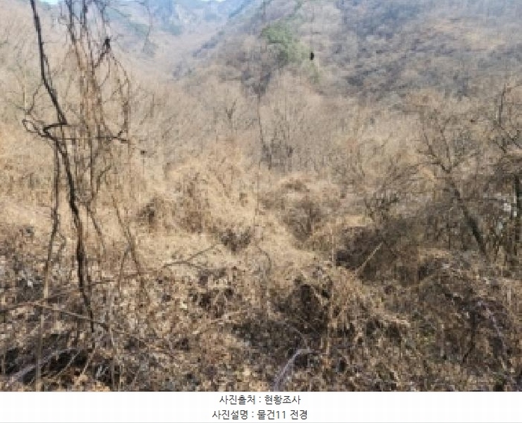 2025타경52543 전라남도 구례군 문척면 중산리 462-1 농지 경매 이미지