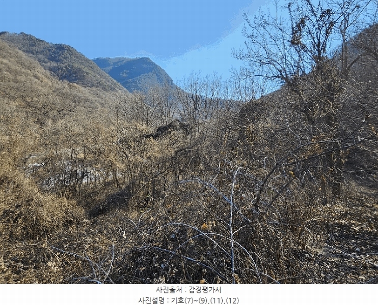 2025타경52543 전라남도 구례군 문척면 중산리 458 농지 경매 이미지