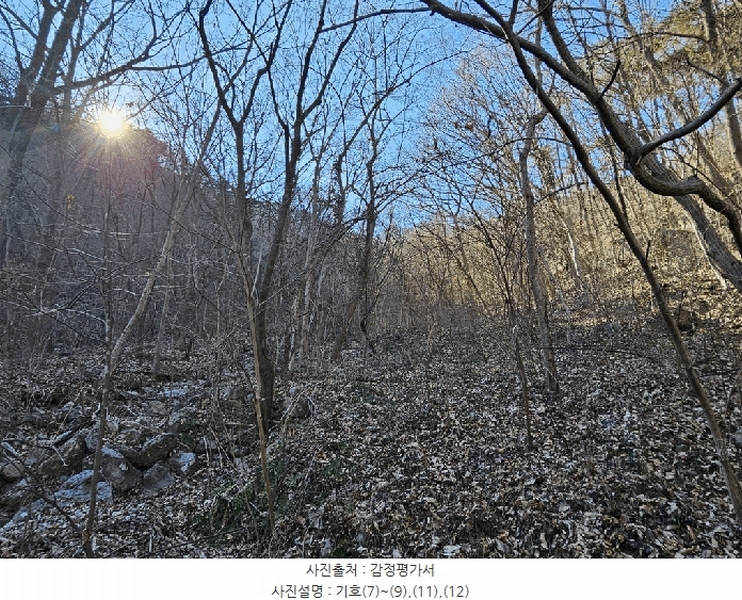 2025타경52543 전라남도 구례군 문척면 중산리 456 농지 경매 이미지