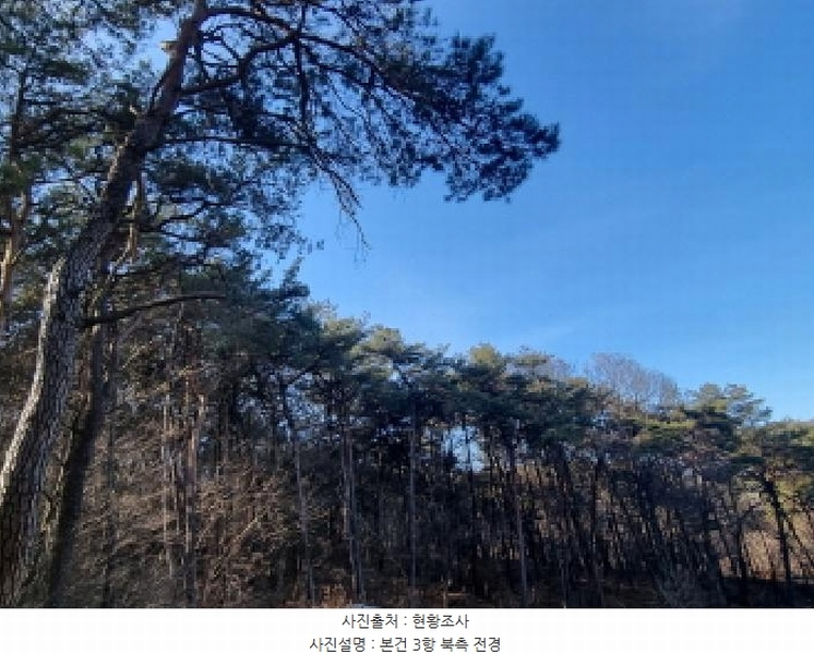2026타경10 전라남도 순천시 주암면 궁각리 산88-6 임야 경매 이미지