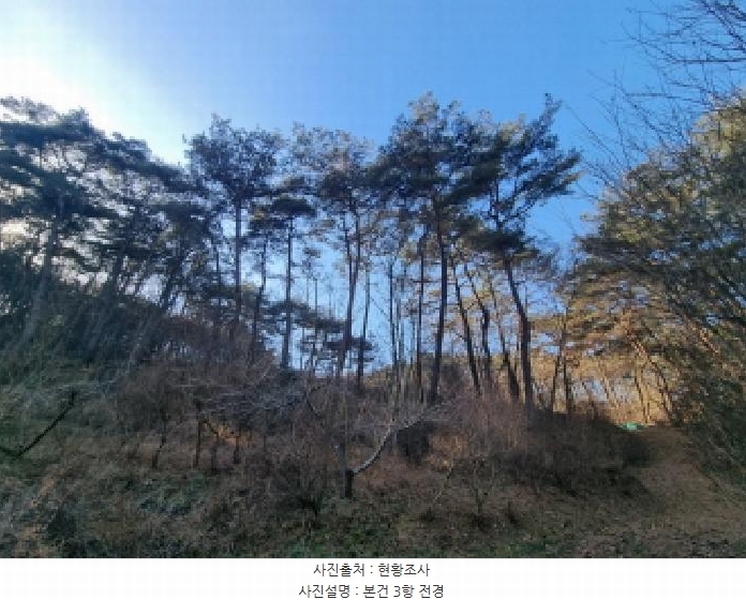 2026타경10 전라남도 순천시 주암면 궁각리 산88-6 임야 경매 이미지