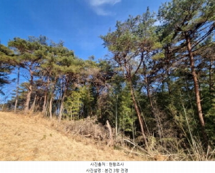 2026타경10 전라남도 순천시 주암면 궁각리 산88-6 임야 경매 이미지