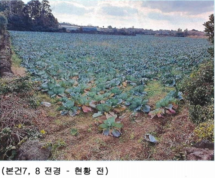 2024타경14192 제주특별자치도 제주시 한경면 낙천리 412-3 농지 경매 이미지