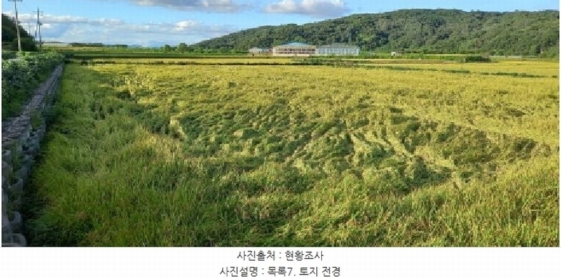 2025타경3213 강원특별자치도 철원군 철원읍 중리 394 농지 경매 이미지