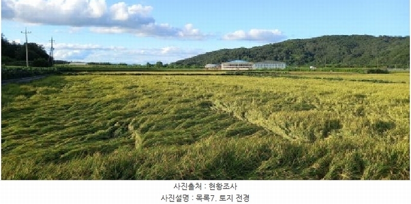 2025타경3213 강원특별자치도 철원군 철원읍 중리 394 농지 경매 이미지